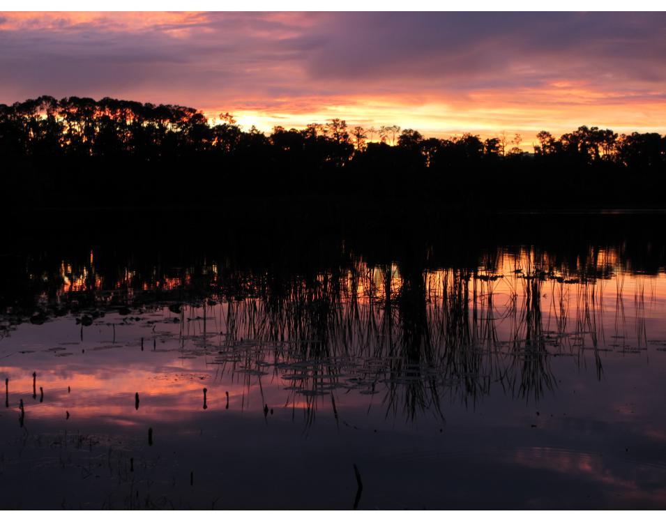 Orlando Sunset 7